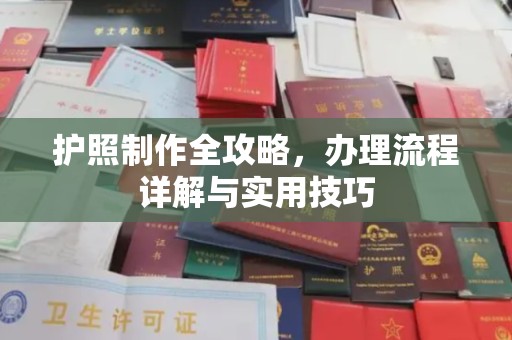 长洲护照制作全攻略，办理流程详解与实用技巧