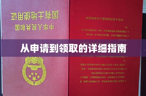 长洲从申请到领取的详细指南