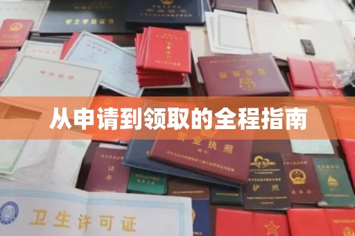 长洲从申请到领取的全程指南
