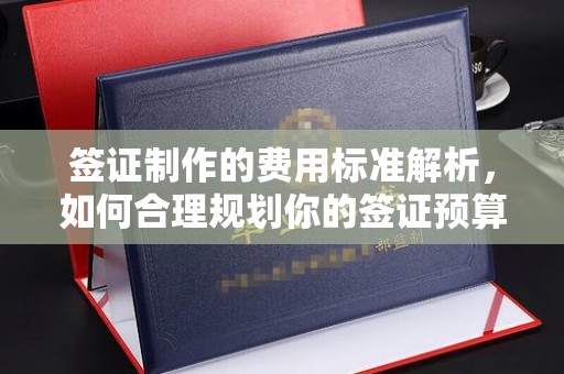 长洲签证制作的费用标准解析，如何合理规划你的签证预算