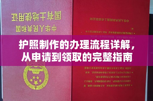 长洲护照制作的办理流程详解，从申请到领取的完整指南