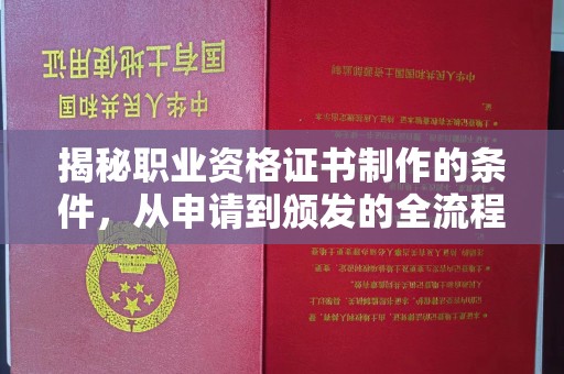长洲揭秘职业资格证书制作的条件，从申请到颁发的全流程解析