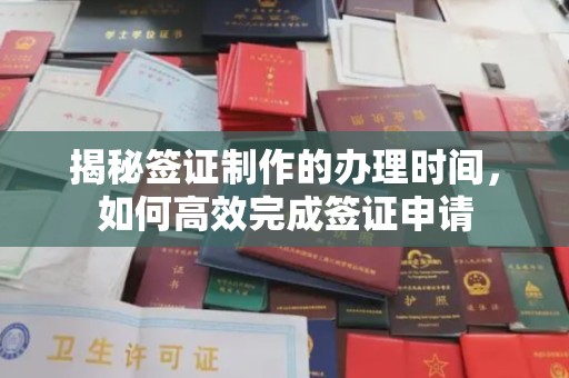 长洲揭秘签证制作的办理时间，如何高效完成签证申请